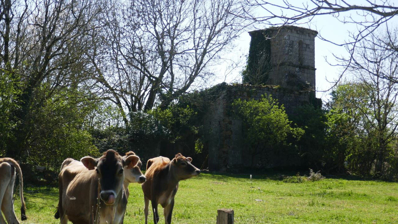 Agrandir l'image (fenêtre modale)
