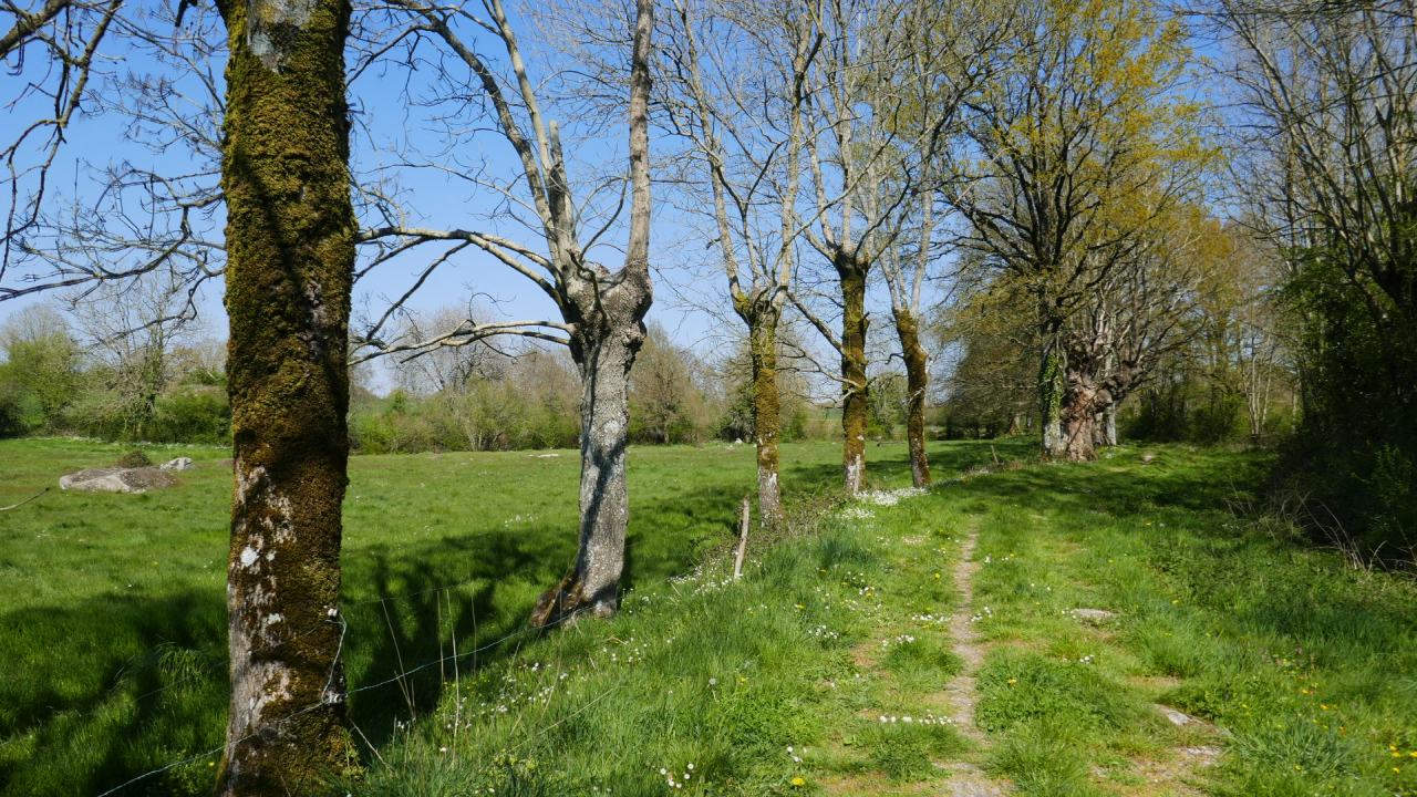 Agrandir l'image (fenêtre modale)