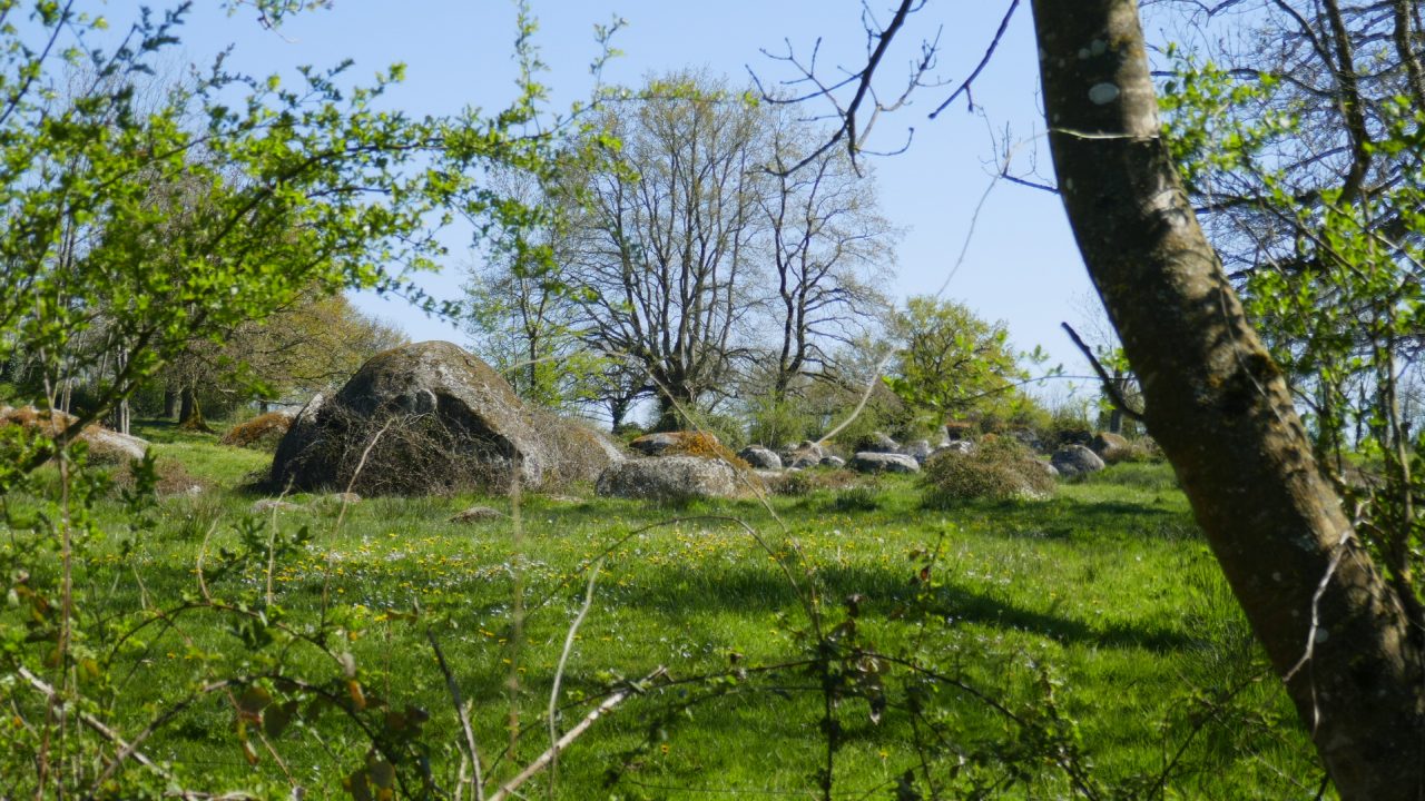 Agrandir l'image (fenêtre modale)