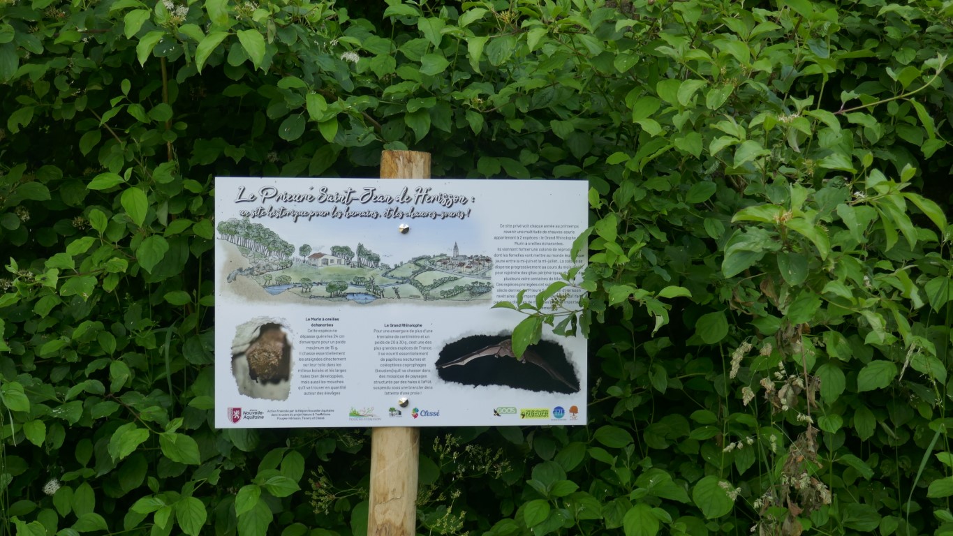 Agrandir l'image (fenêtre modale)