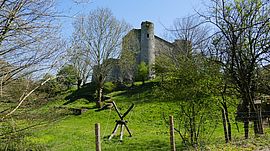 Agrandir l'image (fenêtre modale)