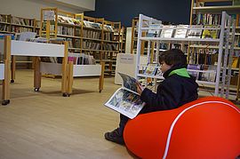 Agrandir l'image (fenêtre modale)